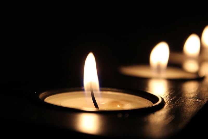 Tealight Candles in Forest