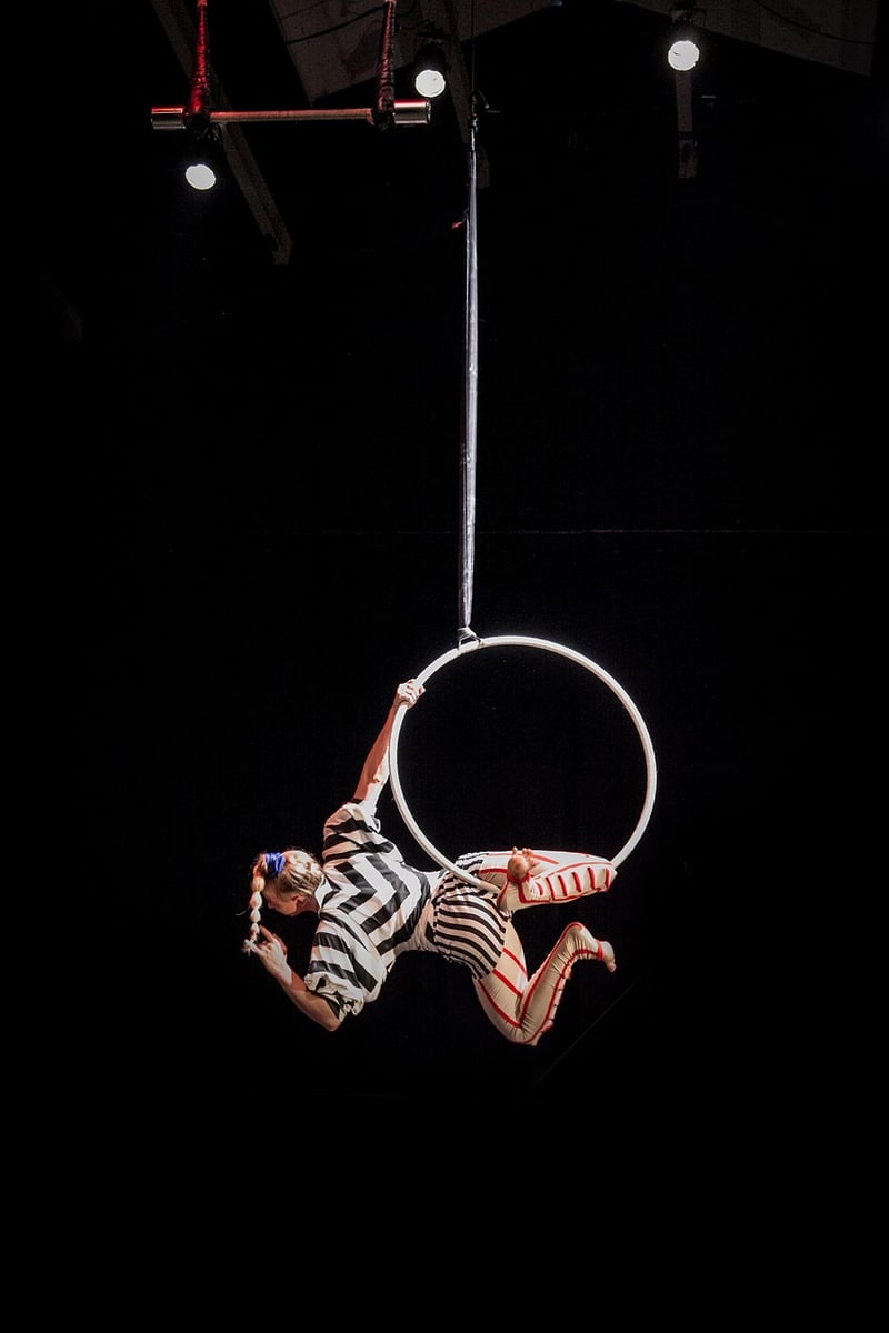 Acrobatic Performance